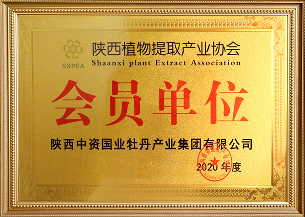 ���ʡʾ���@�^(q��)